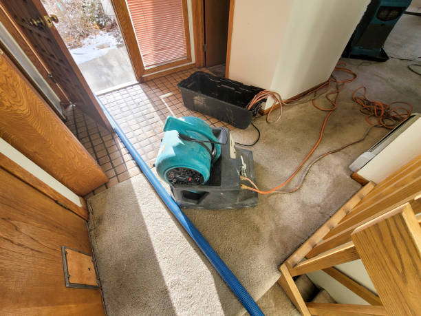 Best Commercial water damage restoration  in Oakland, OR