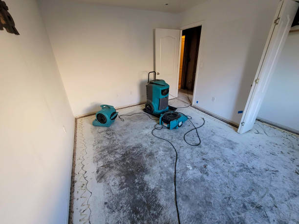 Trusted OR Water damage restoration Experts