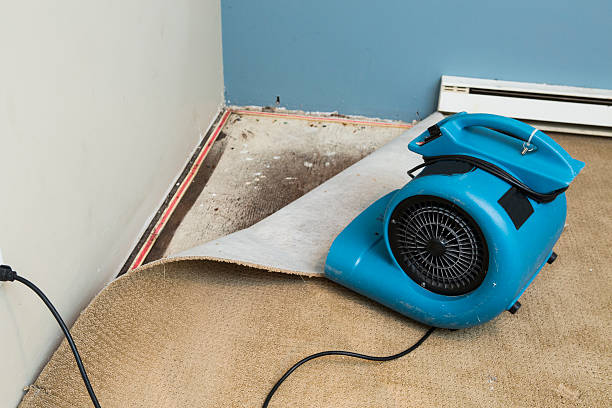 Best Water damage cleanup near me  in Oakland, OR